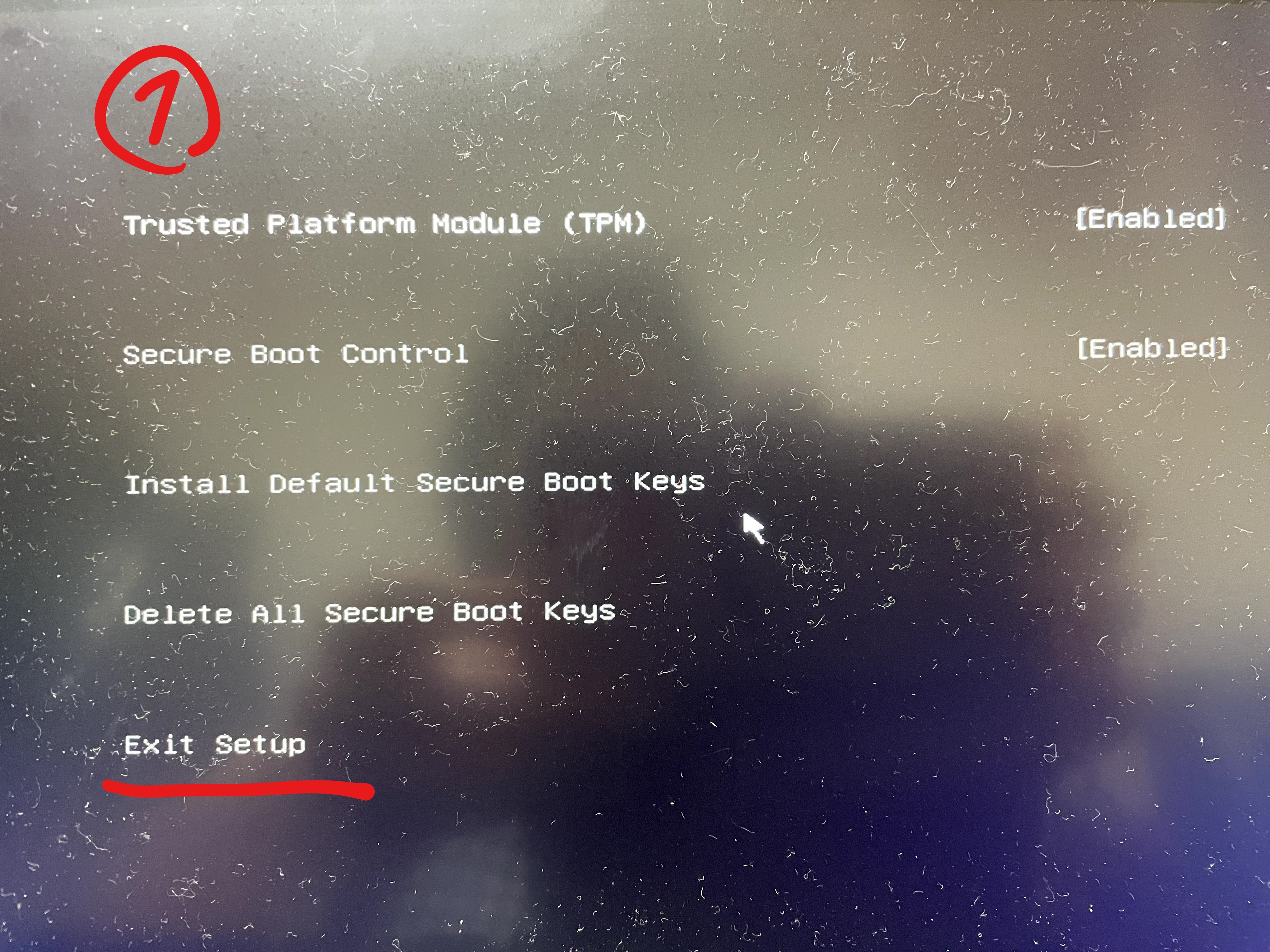 電源を入れ黒い画面が表示され英字が記載されているPlatform Module