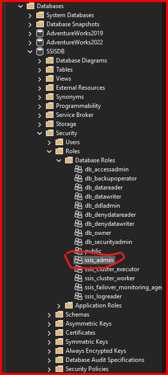 ssis_admin role 2025-02-17 100505