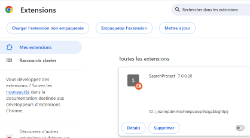 Extension Chrome petite