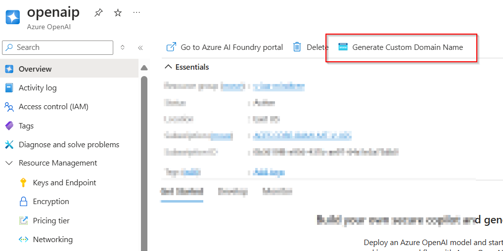 How to Use Azure OpenAI Resource in Azure Search Skillset - Microsoft Q&A