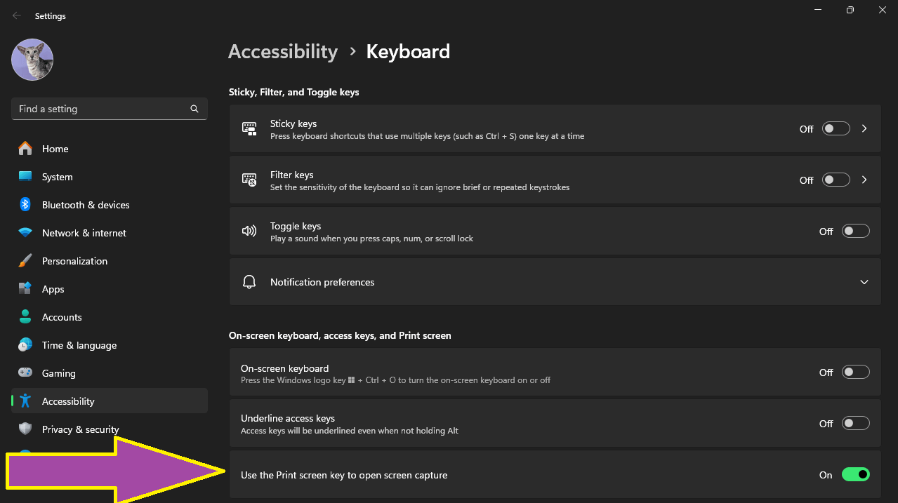 PRINT SCREEN BUTTON STOPPED WORKING - Microsoft Q&A