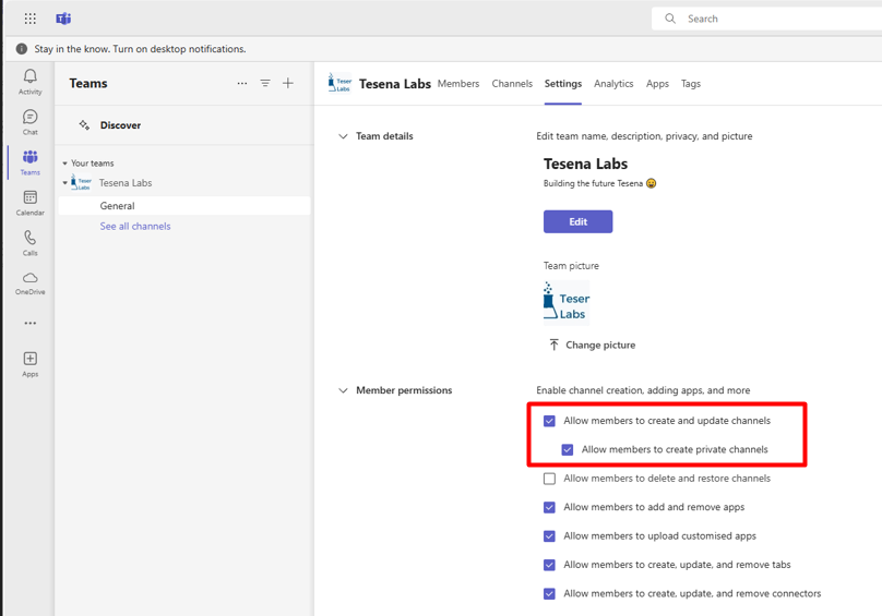 MS teams - members permissions