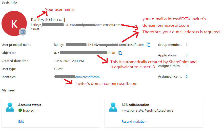 Accepting SharePoint External Sharing Invitation - What Data does this ...