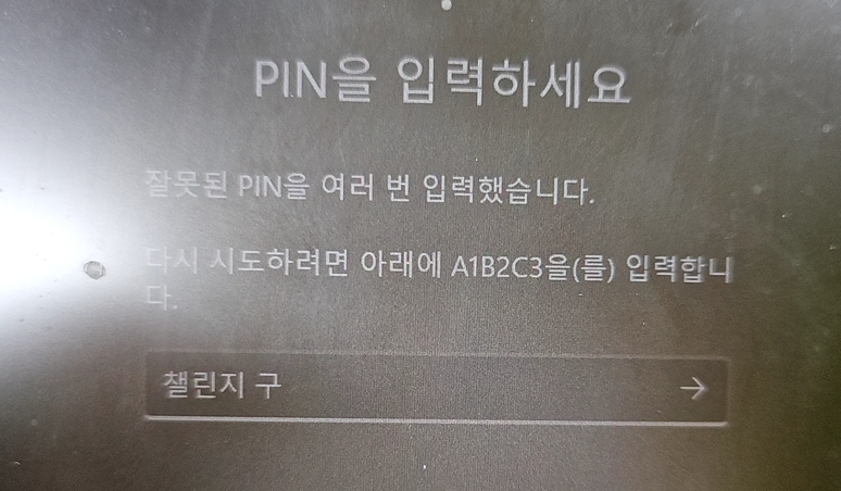 사용자의 이미지