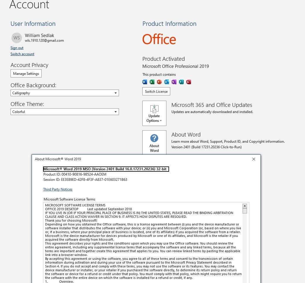 What Happens to my Activated Office 2019 After I Stop working with