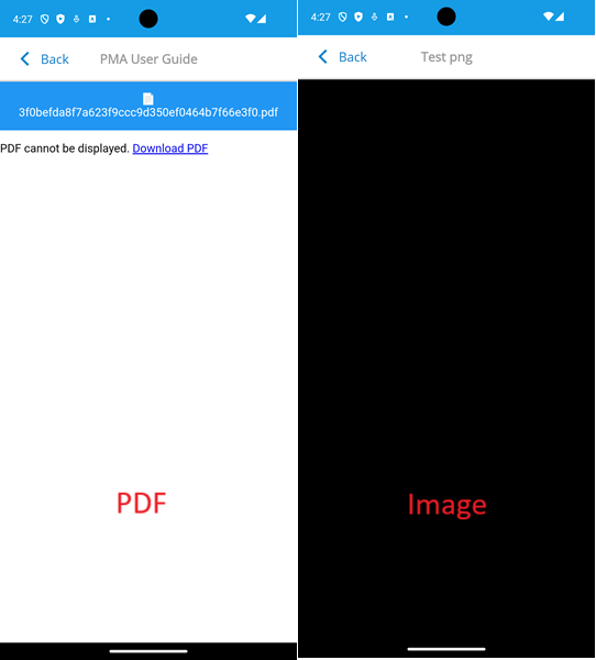 Screenshot_1765796266