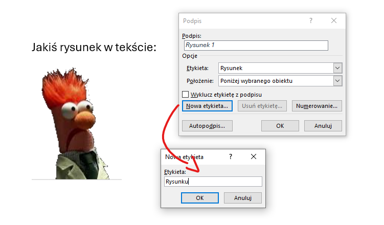 Obraz użytkownika