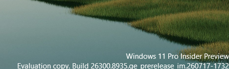 User's image