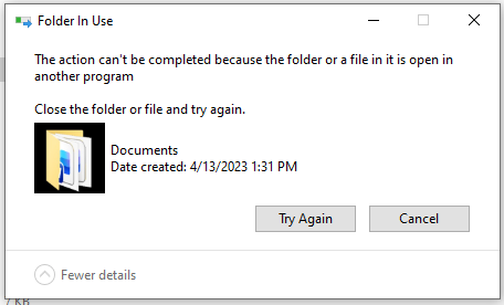 FolderInUseError