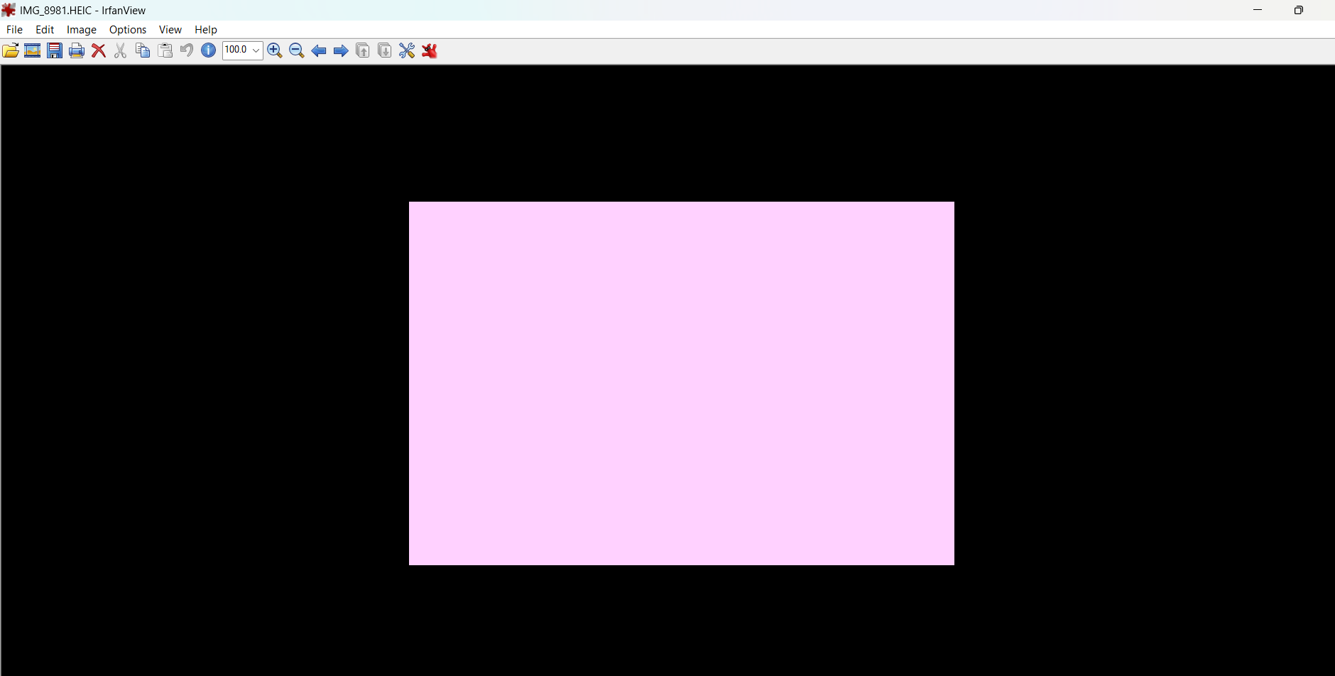 Immagine dell'utente