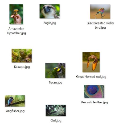 Manually sort jpeg files in a folder - Microsoft Q&A