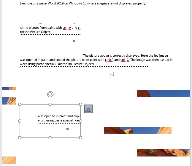Word is not showing inserted images properly. - Microsoft Q&A