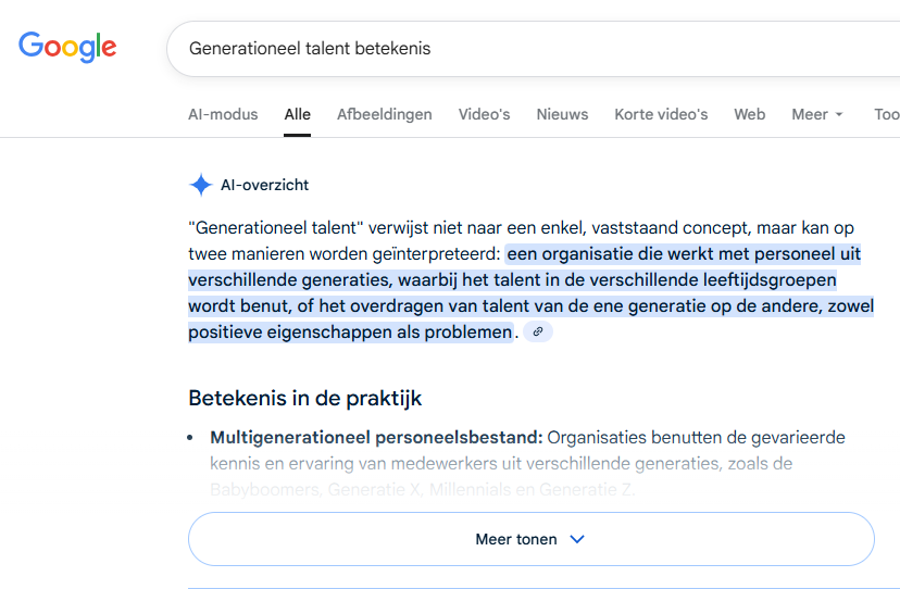 Google AI-overzicht