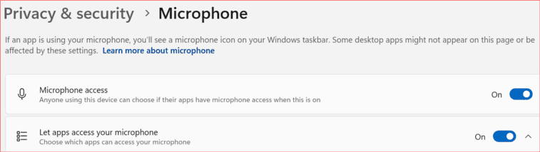 micrphone (1)