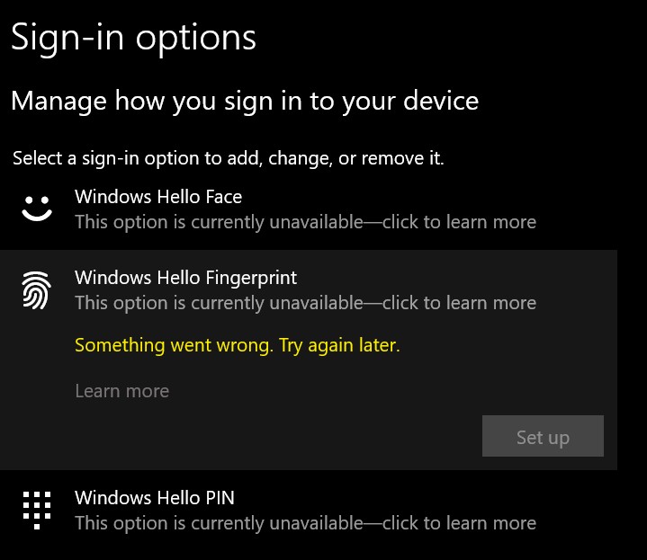 Windows Hello Fingerprint and Pin are 