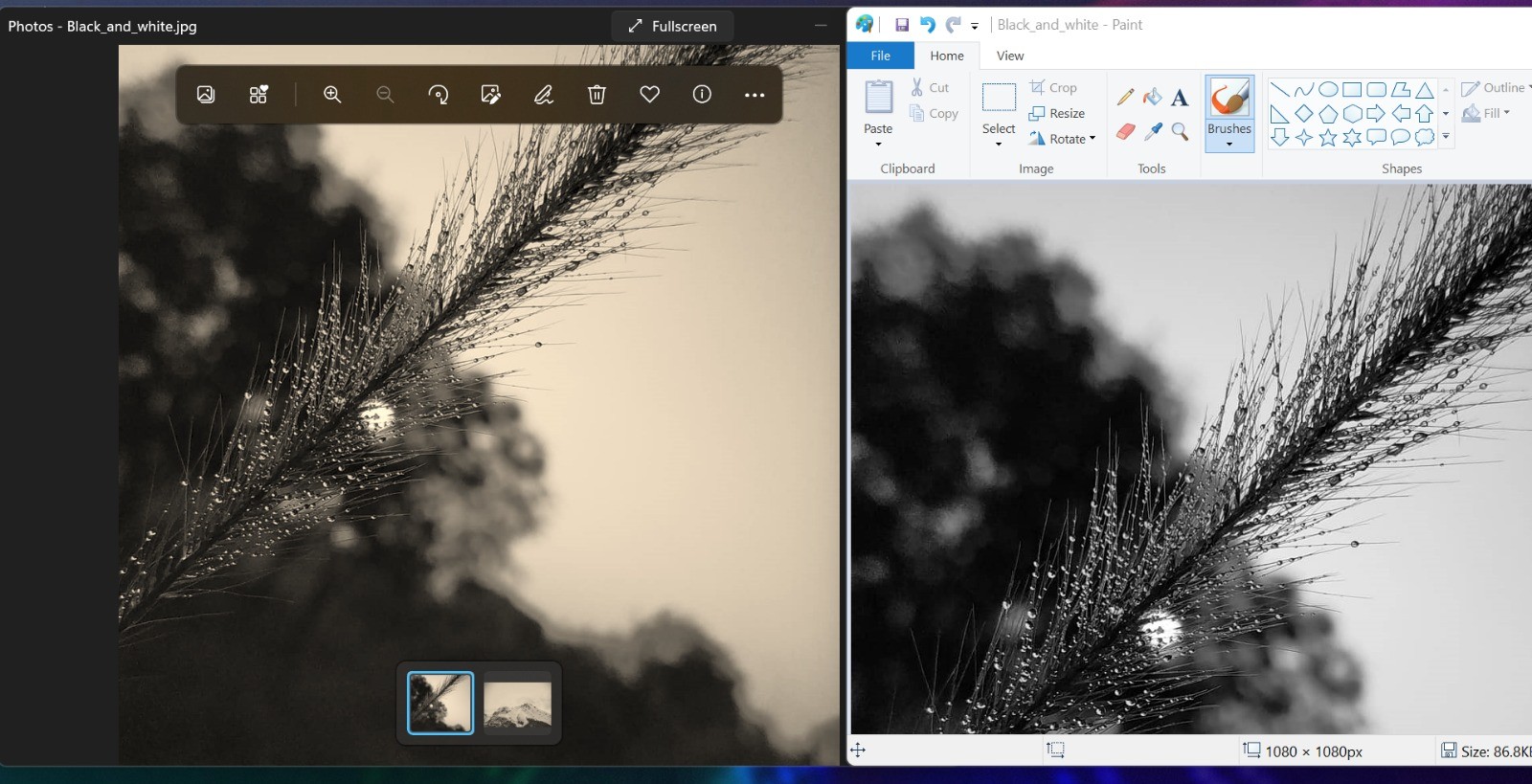 Yellow image in Photos Viewer - Microsoft Q&A