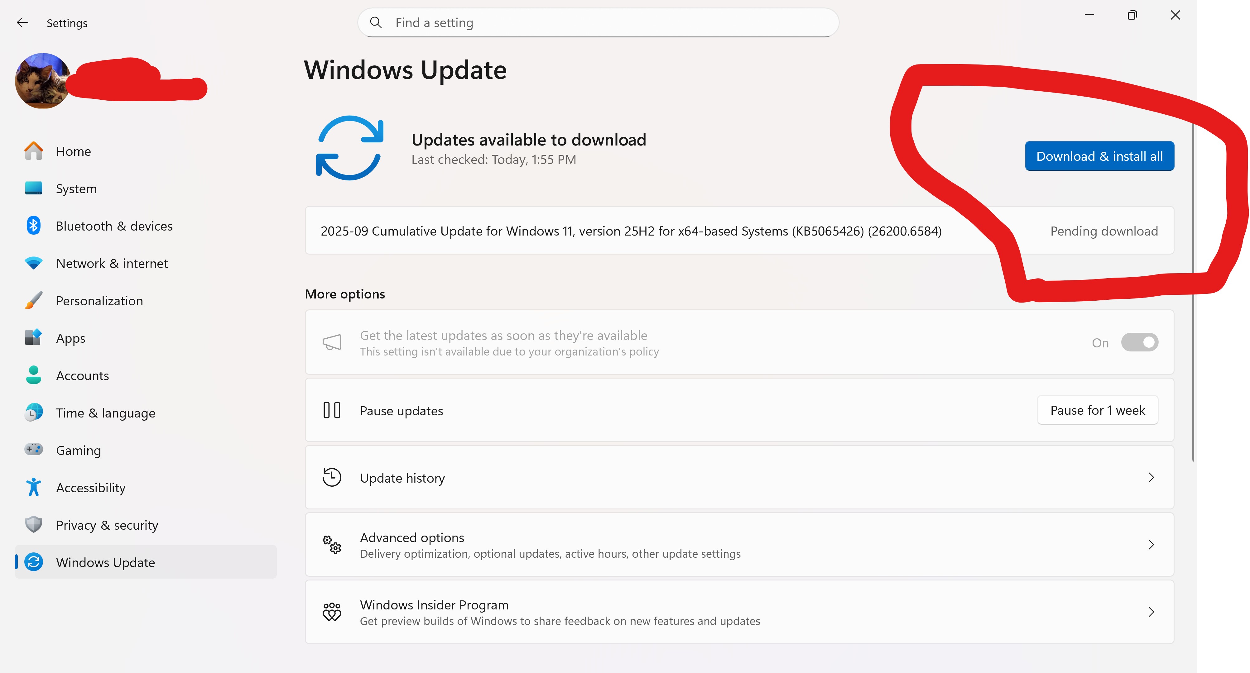 Anyone else in the RP channel having problems installing
