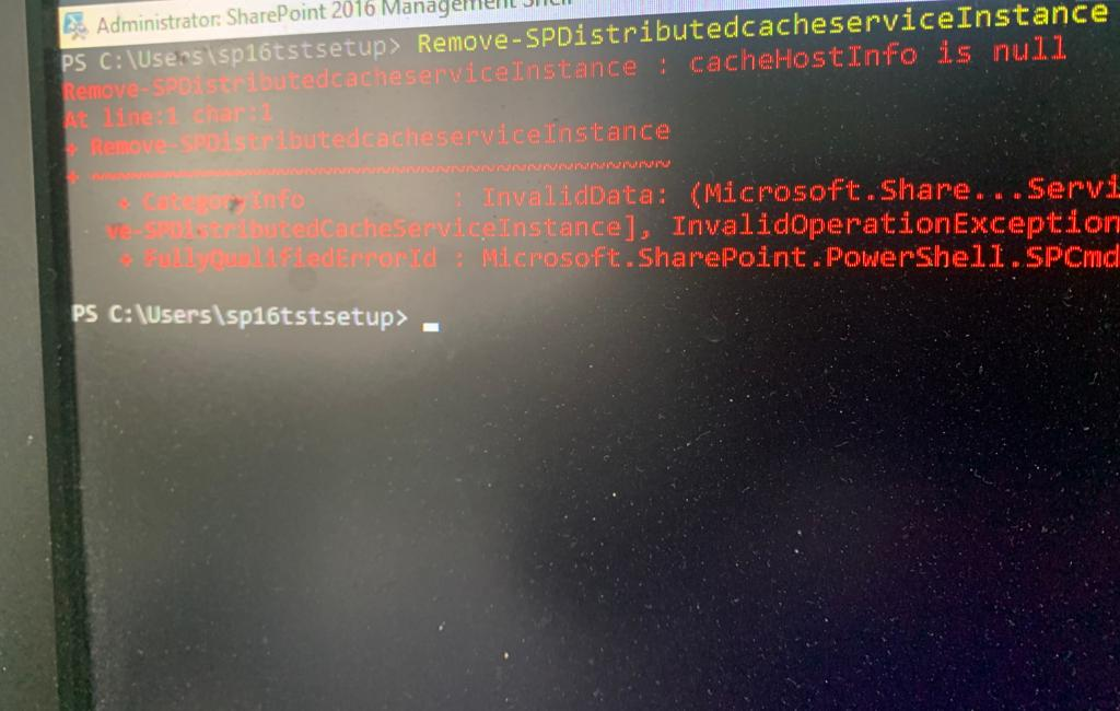 User's image