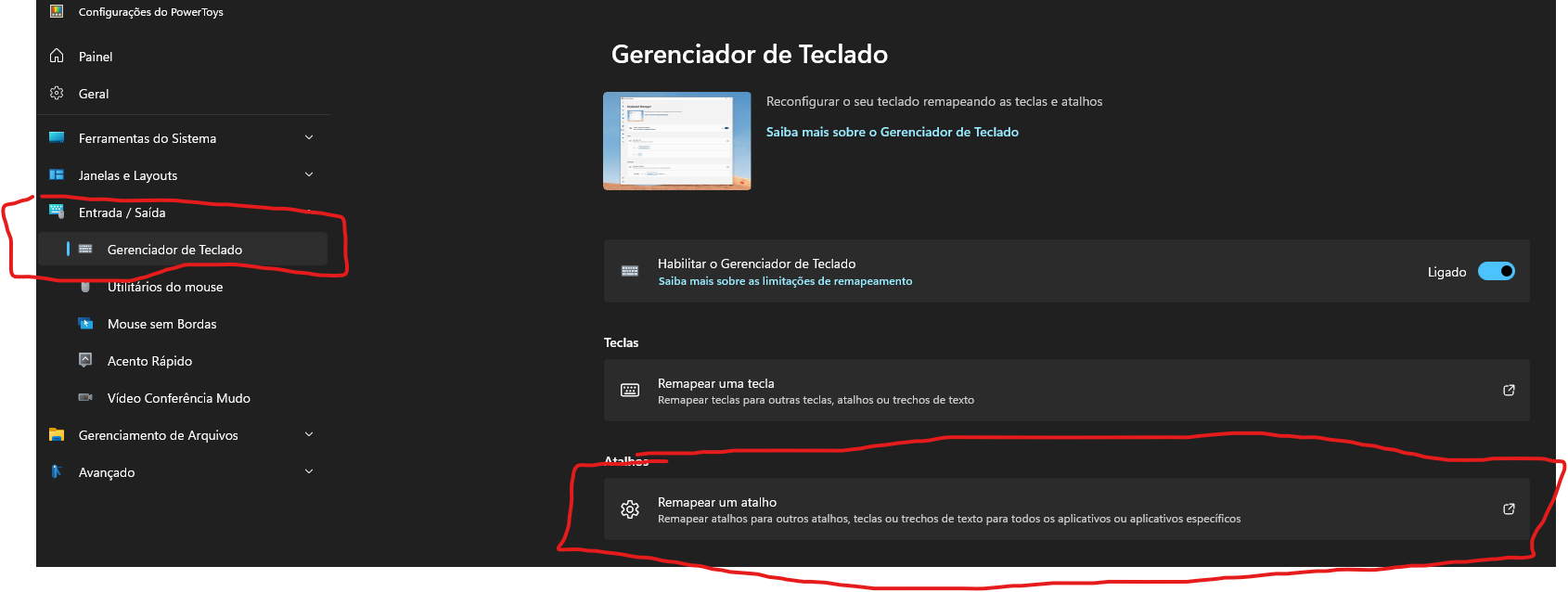 I can't customize the Copilot key on my keyboard because Windows 11 ...