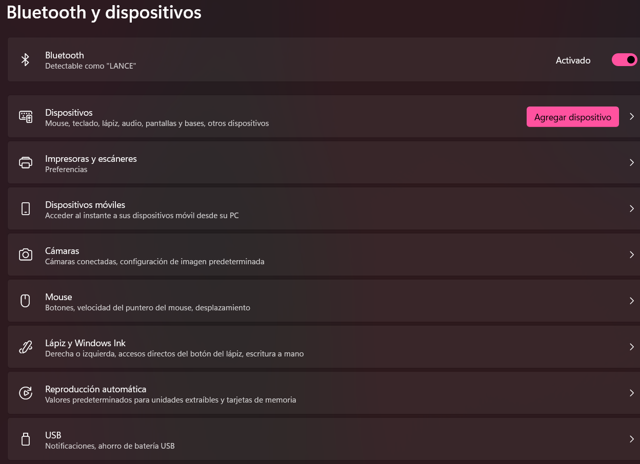 Captura de pantalla 2025-07-29 202638
