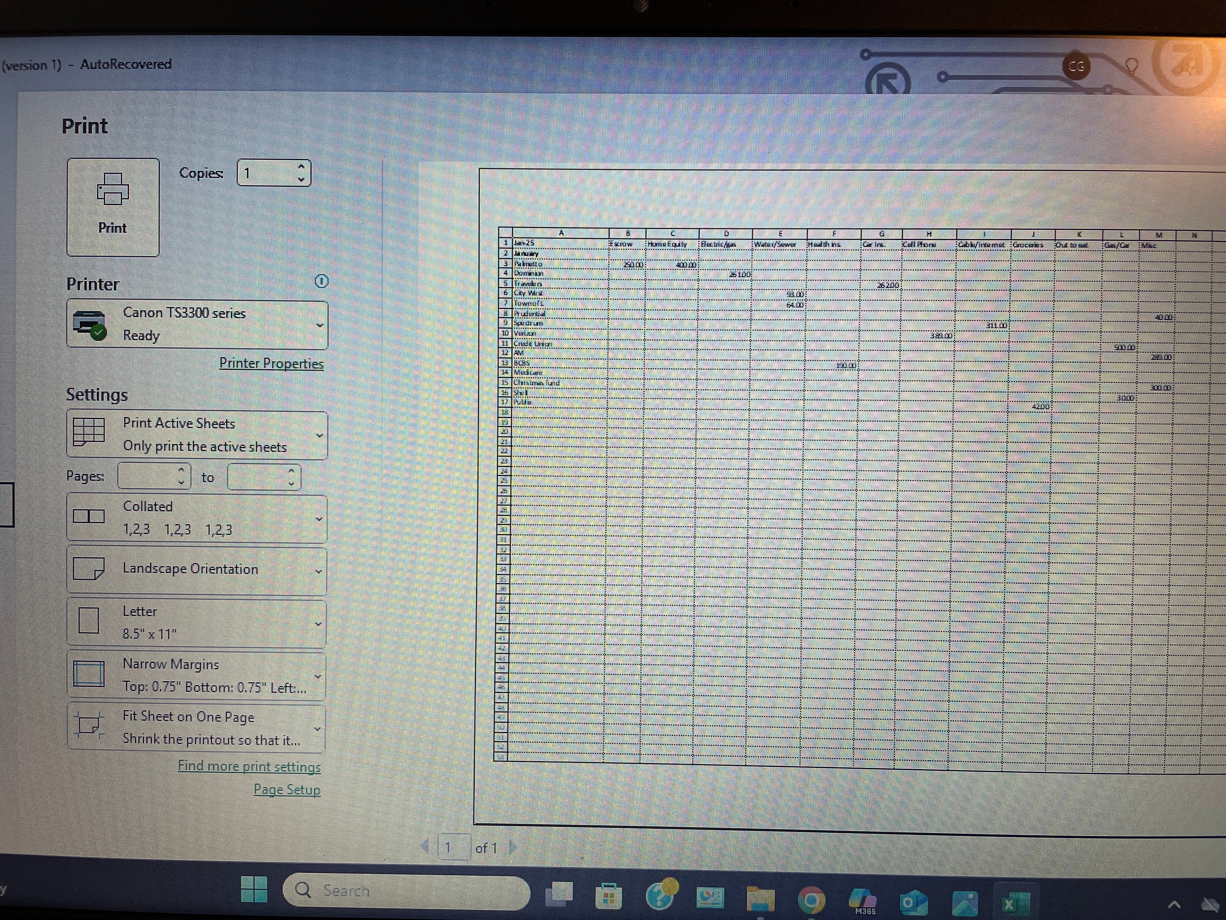 why are some but not all grid lines printing on my excel spread sheet