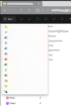 Text missing in File Explorer New menu. - Microsoft Q&A