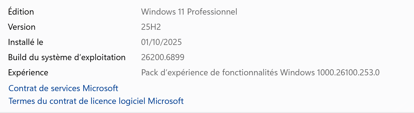 W11 25H2 Canal release preview 26200.6899