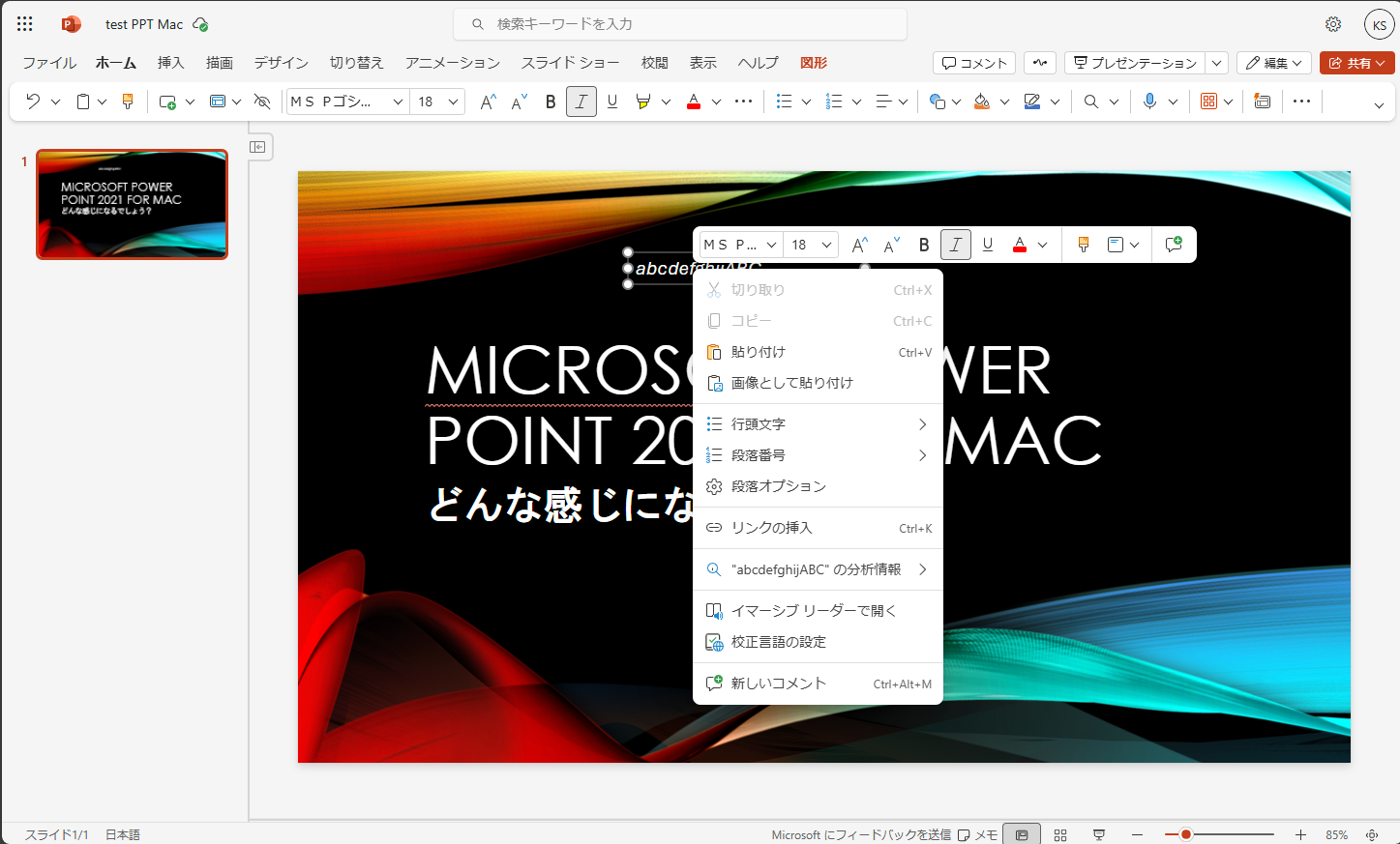 ppt_web_16._font_bug2
