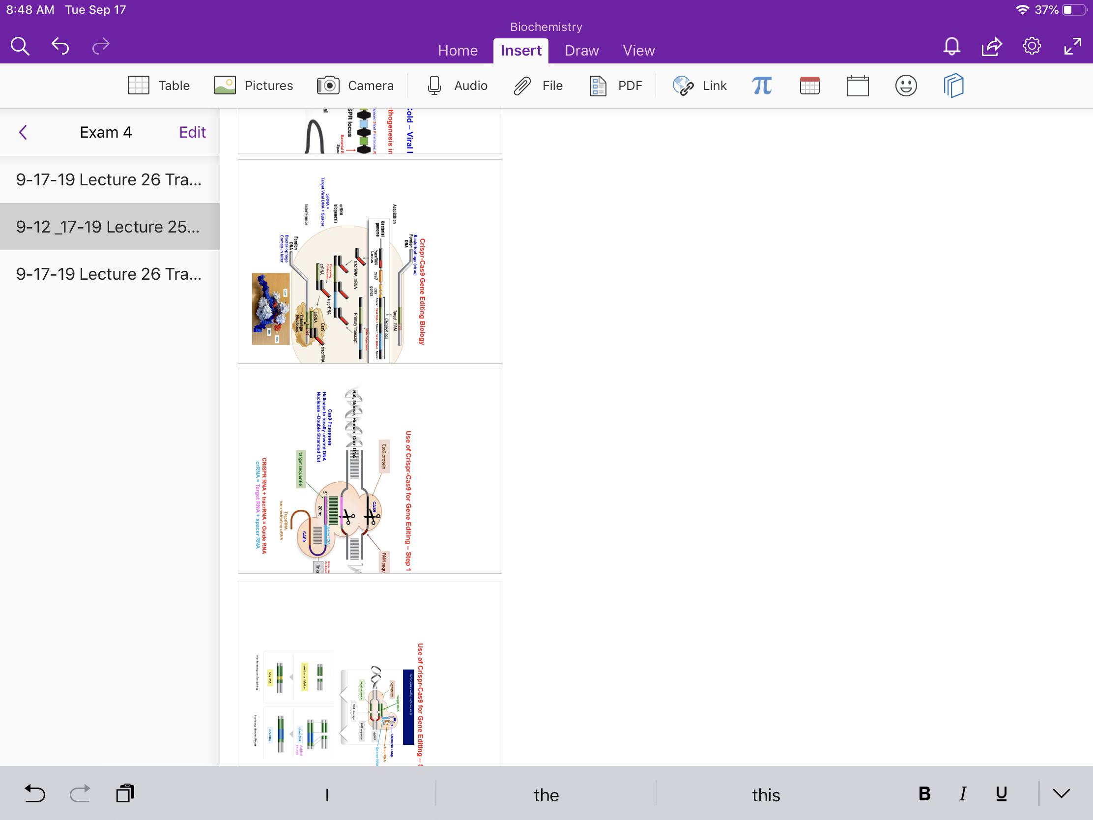 Onenote rotates text from PDFs on iPAD - Microsoft Q&A