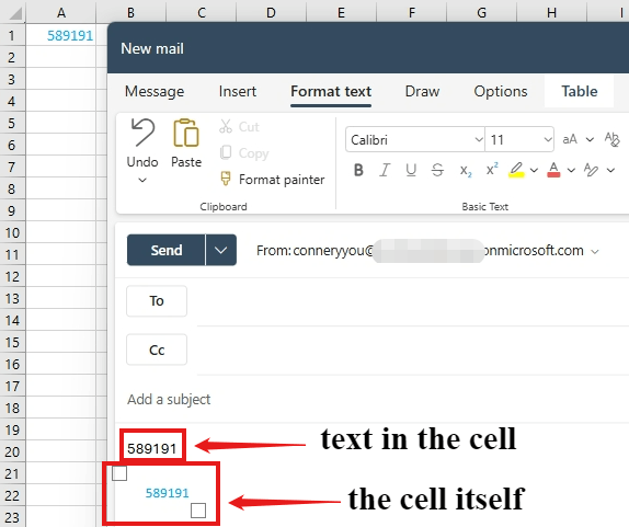 PLEASE HELP! Formatting from Word/Excel does not maintain when copied ...
