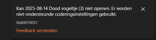 Printscree van Niet-ondersteunede coderingsinstellingen    2026-05-24 095717