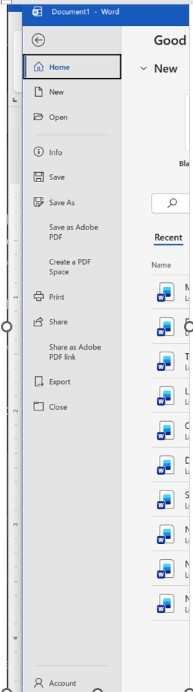 Screenshot of Word Interface - File