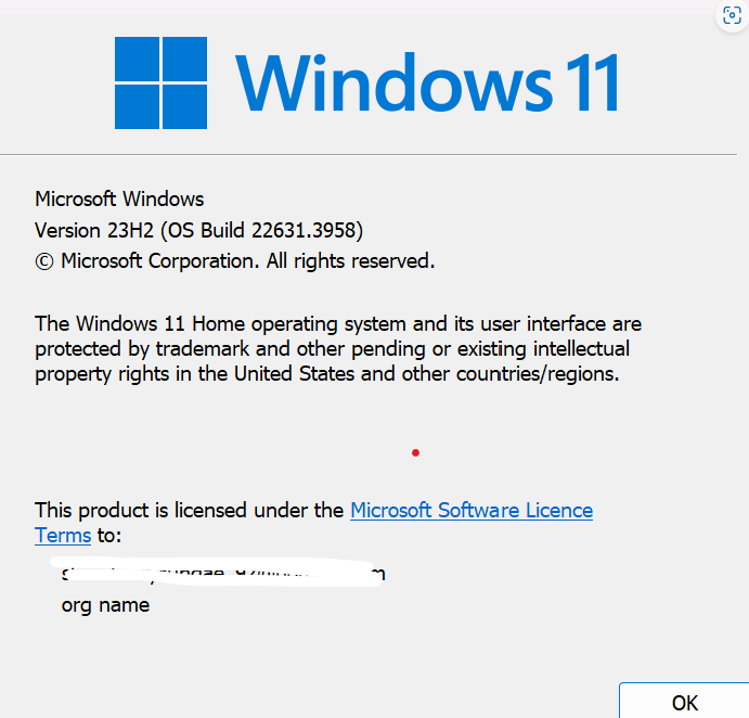 Word Ink to Text Pen Does Not Show in Any Language instructions and verification workflow