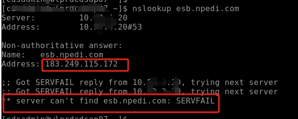 DNS1