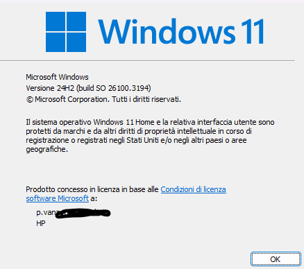 Immagine dell'utente