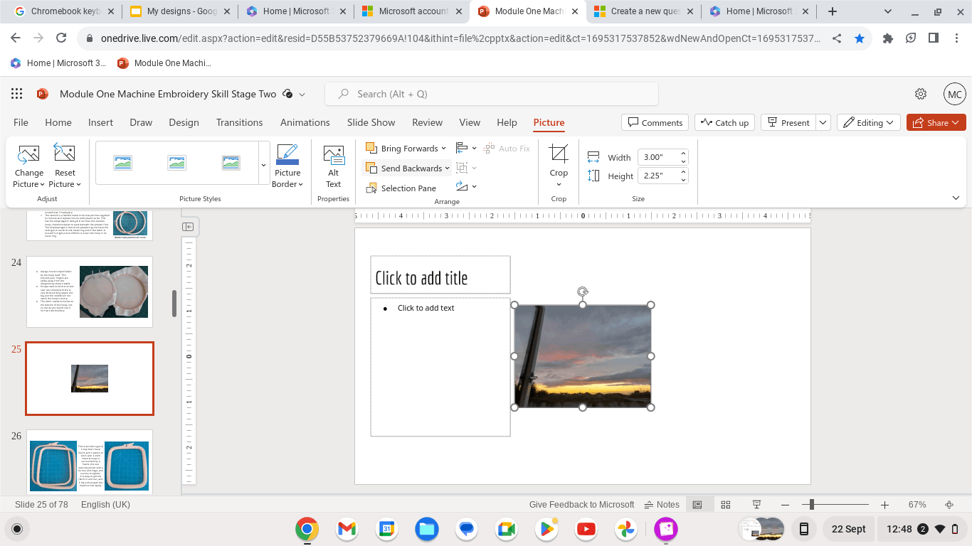 I cannot access the tools I need in powerpoint on web version on chrome ...