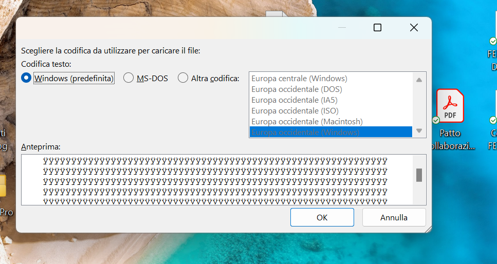 Immagine dell'utente