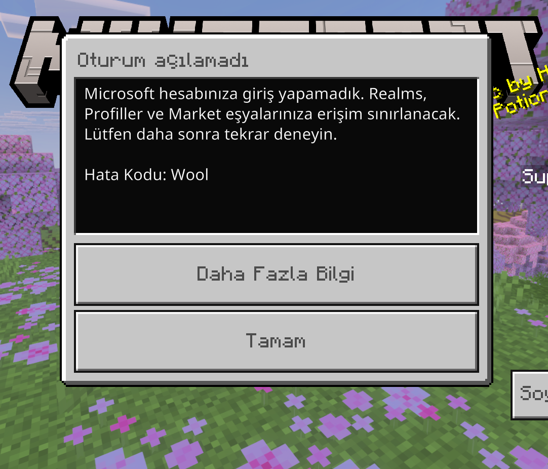 Kullanıcının resmi