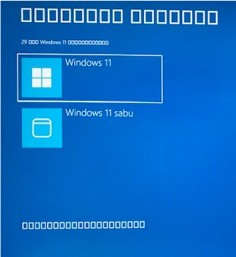 2025-11 プレビュー更新プログラム (KB5070311) (26200.7309)を適用し