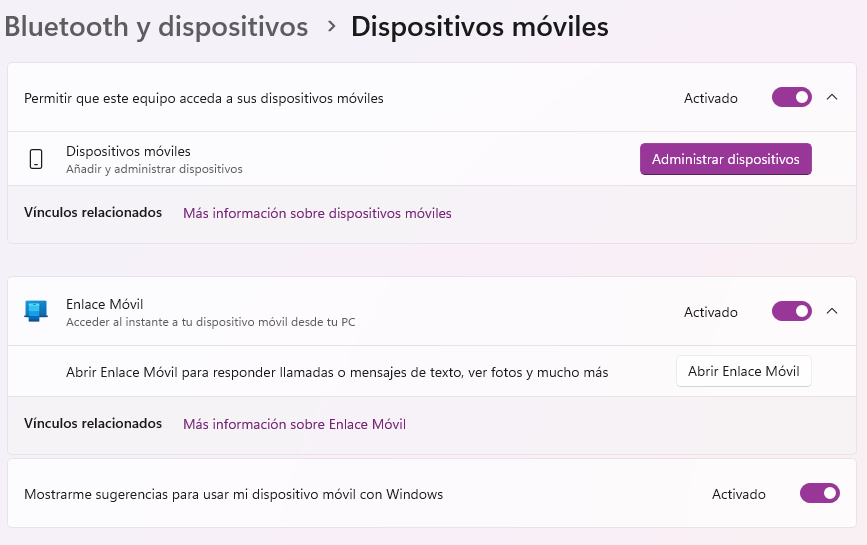 Captura de pantalla 2025-07-20 021725