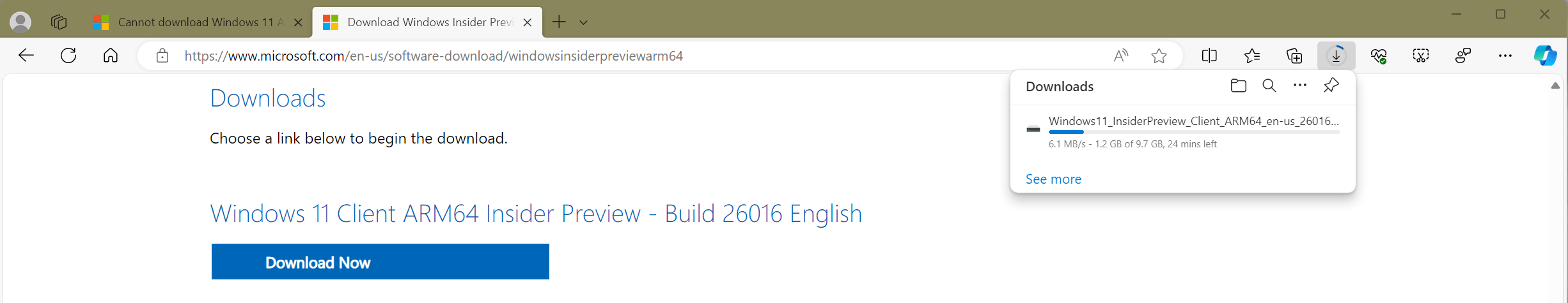 windows 11 arm iso microsoft insider