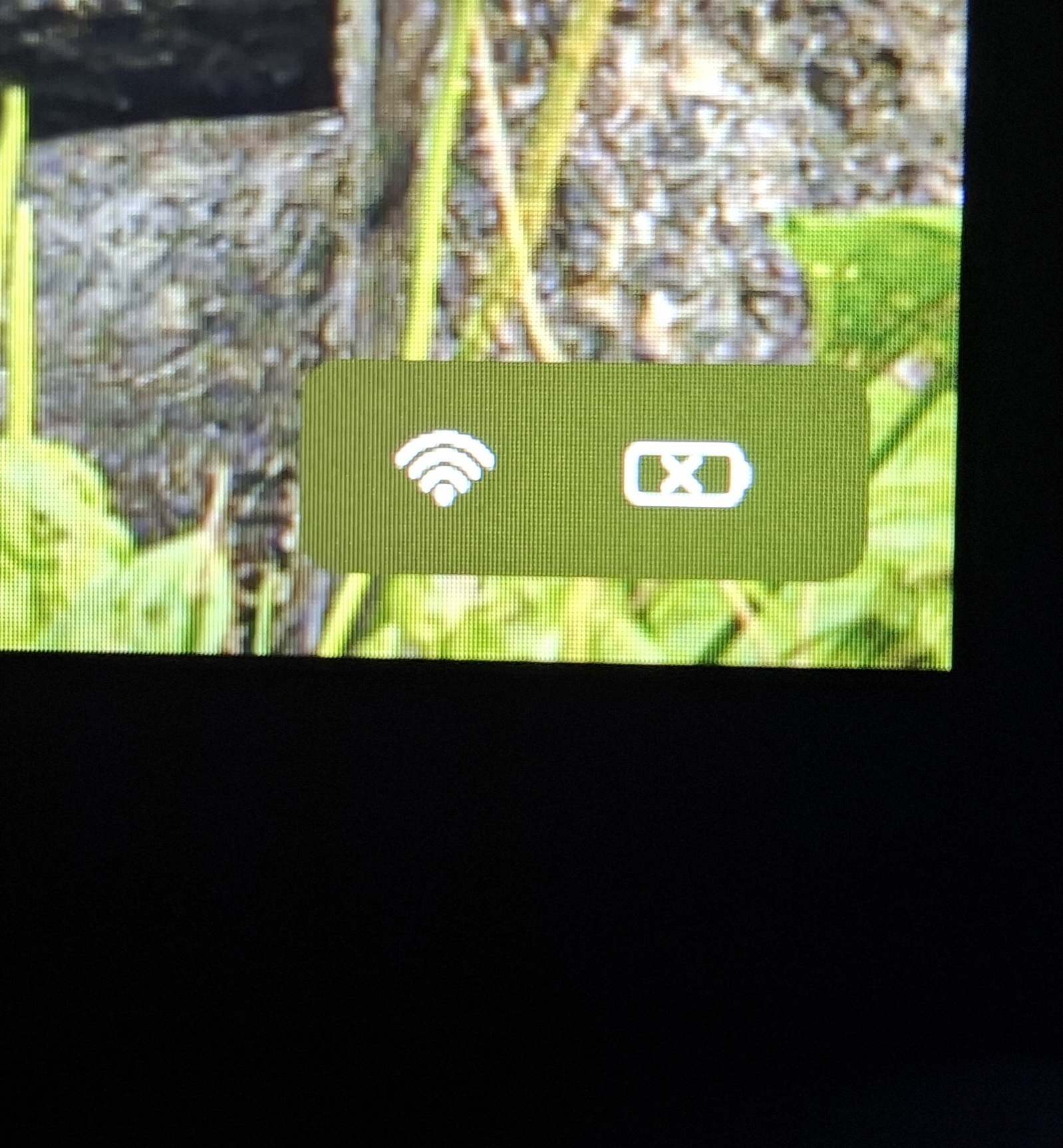 1000043909