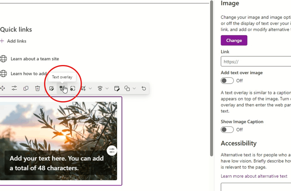 Text overlay is disabled in SharePoint. How do I enable this function ...
