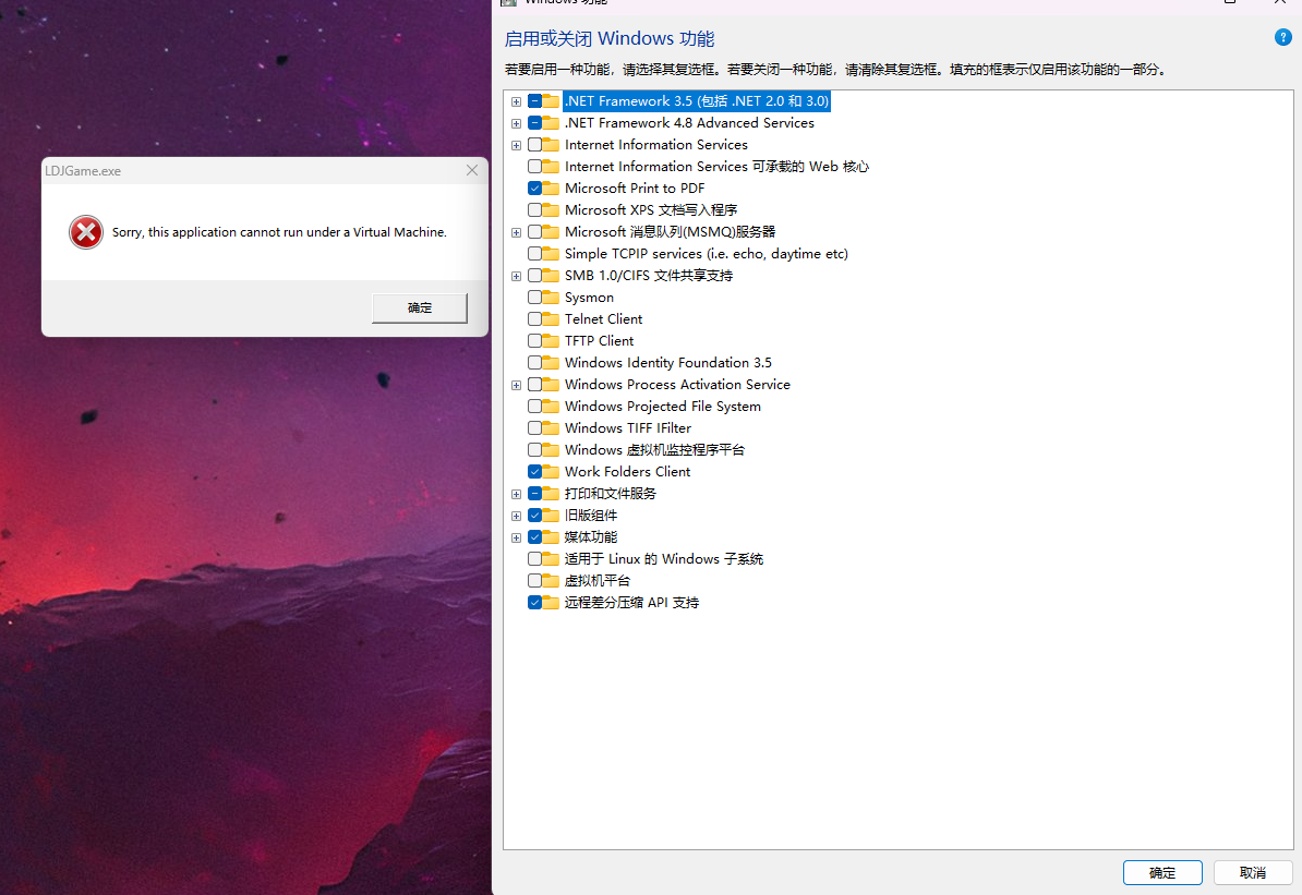 怎么解决 this application cannot run under a virtual machine - Microsoft Q&A