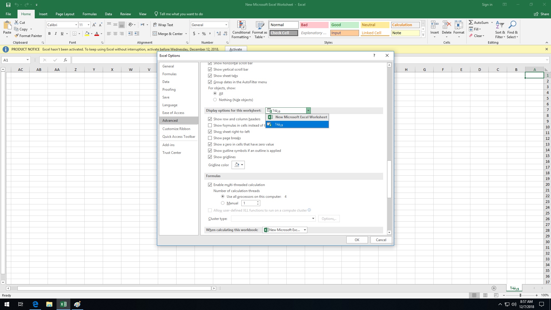 Excel always start on Arabic - Microsoft Q&A