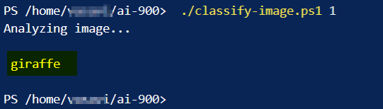 User's image