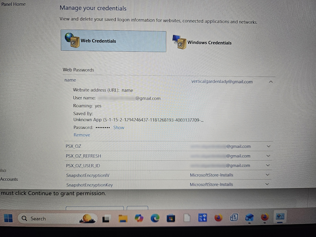 User's image