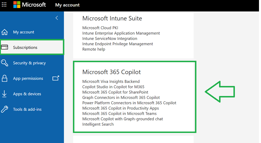 Copilot icon has completely disappeared on Excel Microsoft 365 - E5 ...