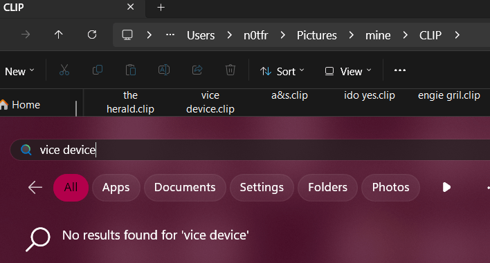 Windows 11 search function ignores files of a specific extension ...
