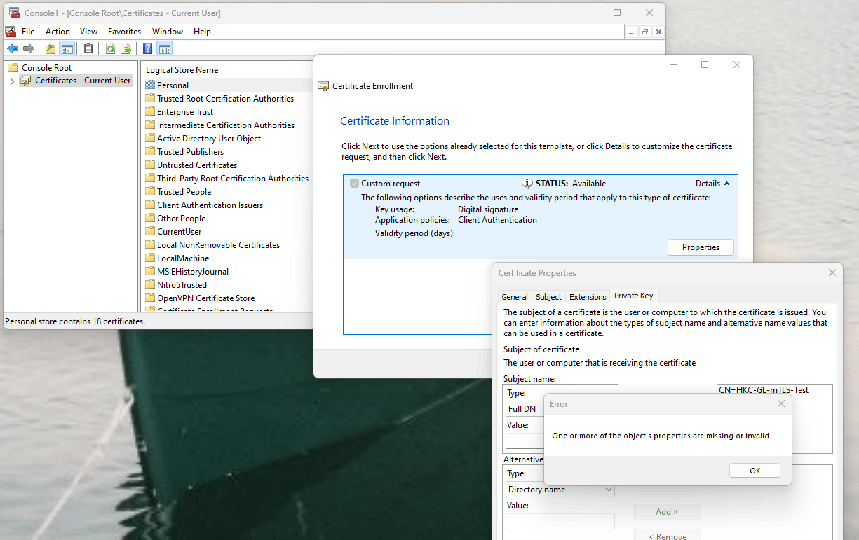 Can't create a custom CSR using mmc and certificates snap-in on Windows ...
